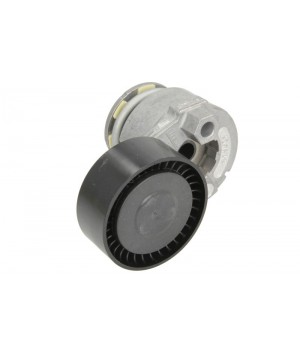 Натяжитель ремня генератора INA 534 0269 10 Nissan Note Juke Micra Tida