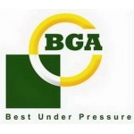 BGA