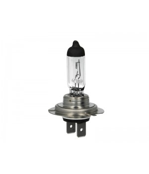 Лампа Bosch 1 987 302 079 H7 12V 55W PX26d Plus 50